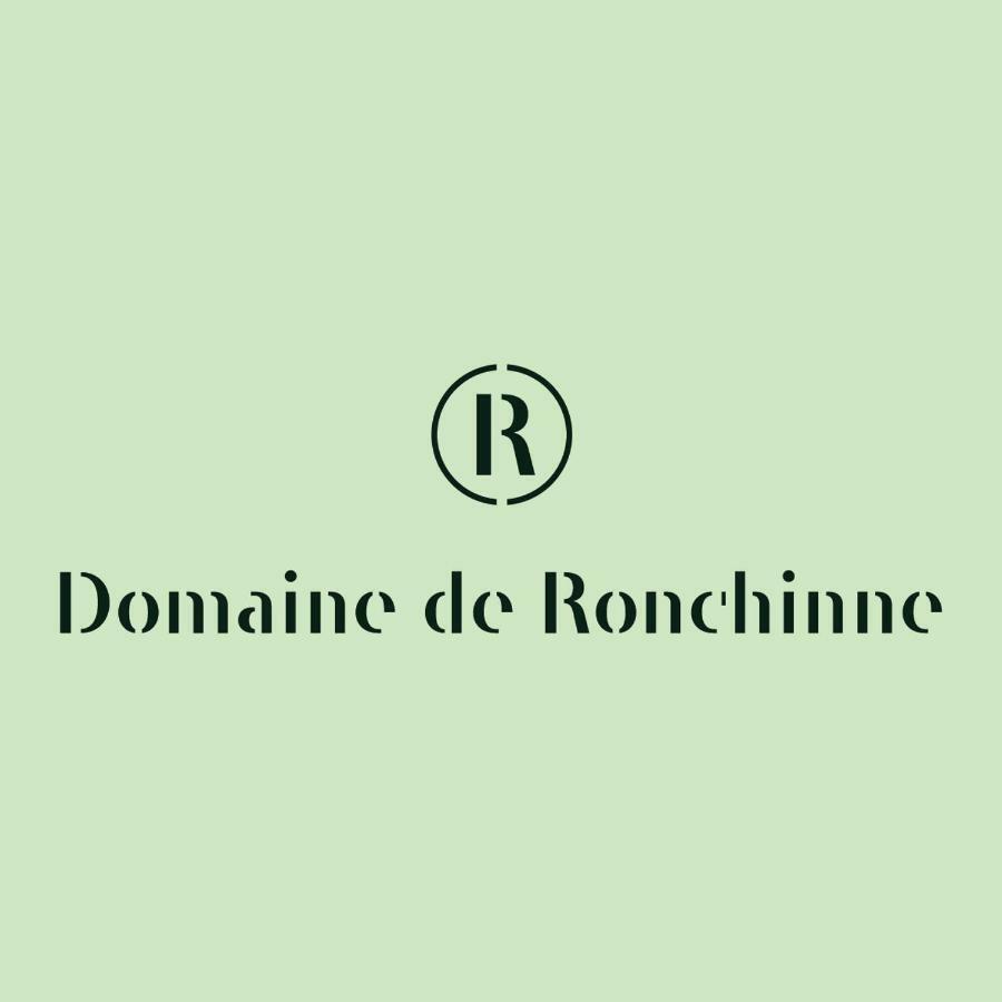 Domaine De Ronchinne - Insolites Maillen Eksteriør bilde